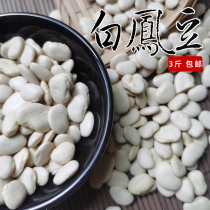 White Fengbeans 3kg of concanavalanus cereals coarse grains beans small white lentils soup cooking porridge for bean paste Miscellaneous bean nutrition