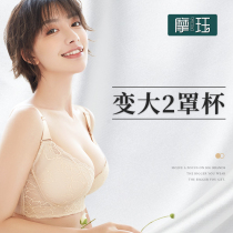 Moojue lingerie female small breasts Thickening Adjustment Type Bra Closeted Breast Correction Upper Tobra anti-sagging display