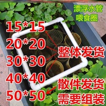 Feeding ring floating large fish tank aquarium with sucker fish food buoyancy goldfish large turtle feed feeding ring