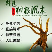 Rhododendron sunken wood root root root has been boiled natural fish tank grass water tank decoration landscape sunken small turtle drying table