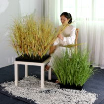 Simulation cattail grass reed grass single branch diy landscape production haystack haystack group grass green fake grass set decoration