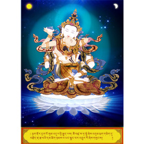 Standard view repair Vajrayasa double body portrait picture portrait