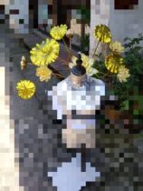 (Customized)Onmyoji Emperor Shi Tian COS Lotus Headdress