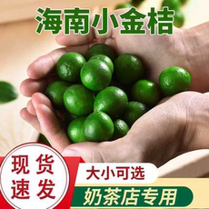 新鲜皮薄多汁小青柠海南小金桔青金桔柠檬免邮 奶茶水果5斤批发
      小金桔