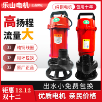 Submersible pump 220V household single-phase large flow high head corrosion-resistant manure slurry sewage pump Leshan people