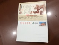 PP253 Hongdong big locust tree 80 points ordinary postage postcard 100 surname theme Xie surname