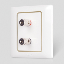 Tianji TJ switch socket panel ultra-thin one speaker socket with golden interior frame home Yabai boutique 86