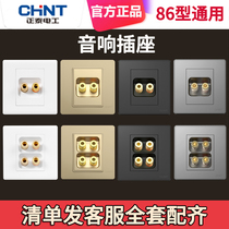 CHINT audio socket panel 86 type concealed audio power outlet Speaker socket Two-position wiring socket Audio