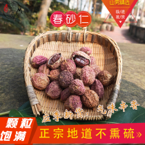 Guangdong spring Amomum and sulfur-free Chinese herbal medicine spring sand smell fragrant affordable goods 100 grams
