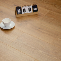Feimei flooring laminate EPL122 Waltham original oak flooring household wear-resistant flooring