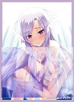 Game King anime sister set sword magic domain SAO Dominiis Doret high priest limited card set
