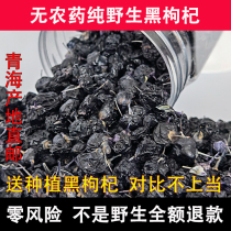 Qinghai specialty Nomu Hong black wolfberry gift box Natural wild big fruit non-Ningxia Gou Wolfberry premium 200g