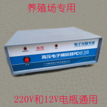 Benxiang brand 12V AC   DC dual-use high-power electric cat electronic rat trap Rat killer Catch rat artifact electric mouse machine