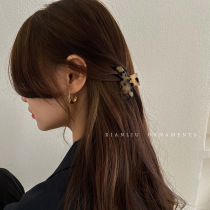 Small hawksbill crawler Korean elegant temperament back head hair clip hair clip hair clip hair clip female spring clip
