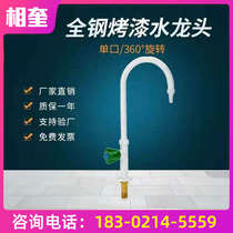 Primrose laboratory All copper single mouth mouth Desktop single mouth laboratory faucet Single laboratory faucet