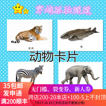 Autism autism ABA teaching practice cards Animal cards Childrens rehabilitation training teaching aids