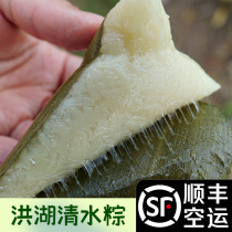 SF air transport Honghu white water dumplings Clear water glutinous rice dumplings Mini small dumplings Hubei Jingzhou specialty vacuum bag