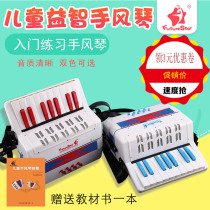 Future Star 17 keys 8 bass Childrens accordion Adult beginner educational toy Early education piano holiday gift