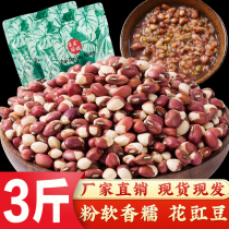 Flower cowpea 3 catties of bean flower ginger bean Jiangdou new goods flower bean cooking porridge porridge small rice bean grain beans grain beans