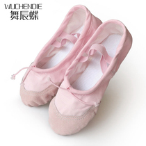 2021 New Special square dance cat claw shoes practice cloth shoes dance shoes dance shoes women belly dance shoes