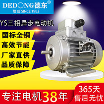 Small German East frequency control three-phase asynchronous motor 380V aluminum motor YS7124 GB copper core motor