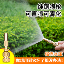 Direct injection high pressure copper water gun atomization multifunctional household nozzle watering shower shower car wash cleaning and flushing adjustable water pipe