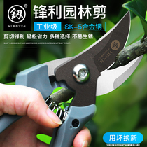 Japan Fukuoka prunes cutting fruit tree scissors Horticultural cut flowers branches Flower Cut Imports German landscaping pruning branch tools