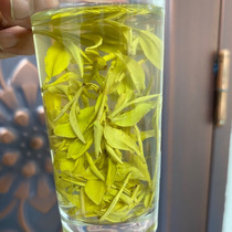 Songyang Golden Bud Tea gift box 2021 New Tea Spring Tea 250g fragrant gold tooth tea Green tea Gold leaf tea