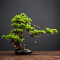  Simulation welcome pine bonsai desktop decoration Living room entrance tea room New Chinese decoration office green plant fake potted plants