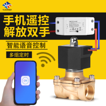 WIFI solenoid valve water valve 220V smart switch wireless phone remote remote control intelligent automatic water pipe watering