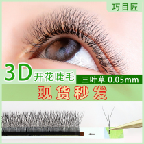 Grafting eyelash trifoliage 3D Xianduo Y type One second flowering planting eyelash Andromeda Girl with type Y weaving does not loose heel