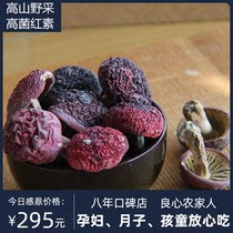 Wild red mushroom dry goods Fujian authentic Wuyishan Sanming red fungus 250g can gift box Super Red Mushroom New