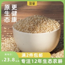 Brown rice new rice 1kg whole grain rice whole grain rice germ whole grain rice Xuan rice bad rice pregnant women fitness brief