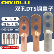 Double hole copper nose DTS-400 500 630 square national standard A- grade tinned copper terminal cable connector