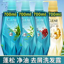 Qingyang intuition Zhijue pure oil control Fluffy and strong bamboo leaves anti-dandruff shampoo water for men and women