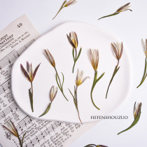 Double-leaf lily dried flower embossed wedding invitation diy sealing flower lily real flower ins wind drip glue handmade material