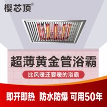 Integrated ceiling bath bully lamp 30x30 square ultra-thin gold tube bath bully carbon fiber light wave toilet heater