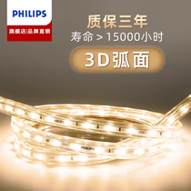 Philips light with led strip living room embedded self-adhesive cob cord lamp ceiling flexible 220V atmosphere decoration