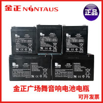 Jin Zheng Square Dance Audio with Display Screen Outdoor Speaker Original Battery New Lead Acid Battery Battery
