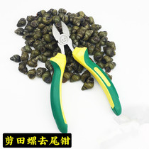 Shear snail tail tail clamp field snail artifact cutting screw snail tail knife field snail tail tail knife snail nail tail snail tail nail nail nail