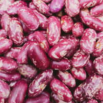 Fresh four seasons dried beans sauerkraut cauliflower beans broad beans waist beans Guizhou specialties 2 kg red beans rice grains bijie
