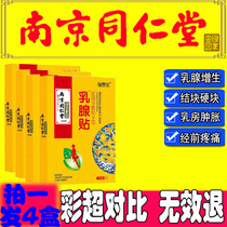 Tong Ren Tang breast paste dredge loose lumps breast pain lobular lumps to sub-breast pain Milk Anning paste