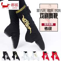 Dance boots female long tube Mongolian side Flower boots dancing practice shoes male Tibetan stage performance high-help jazz shoes