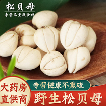 Chuanbeimu dry goods do not smoke sulfur Chuanbei powder to make Sydney cream Chinese herbal medicine pine shellfish 10g no wild is not flat shellfish