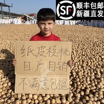 2021 New Xinjiang specialty Aksu 185 paper walnut 500g bag thin walnut 5kg original pregnant woman