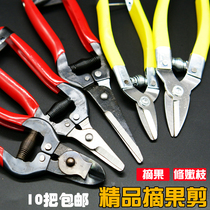 Pruning shears pedicure scissors Orchard Orchard citrus small fruit grape branches special nest-type fruit handlebar