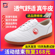 Samurai Dragon Tai Chi shoes soft beef tendon leather female summer Taijiquan practice shoes martial arts shoes men Taiji sneakers