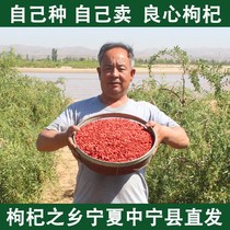 (Place Of Origin) Chinese wolfberry Ningxia special grade Zhongning medlar head stubble authentic large grain 500g125g