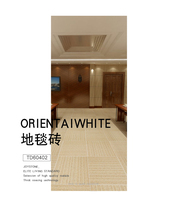  Nobel carpet to simple modern carpet main brick TD60402