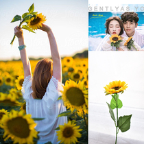 New photo studio travel girl photo props simulation sunflower sunflower wedding photography pastoral style theme